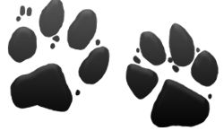 Paw Prints