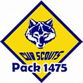 Cub Scouts